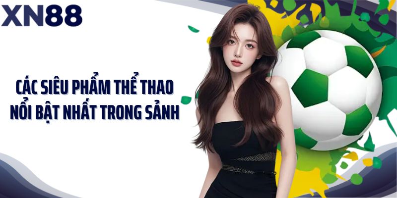 Các siêu phẩm thể thao nổi bật nhất trong sảnh