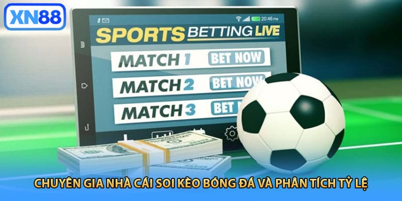 Chuyên gia nhà cái soi kèo bóng đá và phân tích tỷ lệ