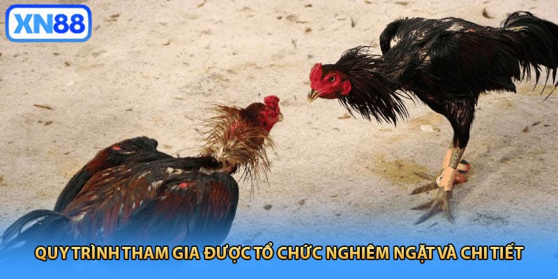 Quy trình tham gia được tổ chức nghiêm ngặt và chi tiết